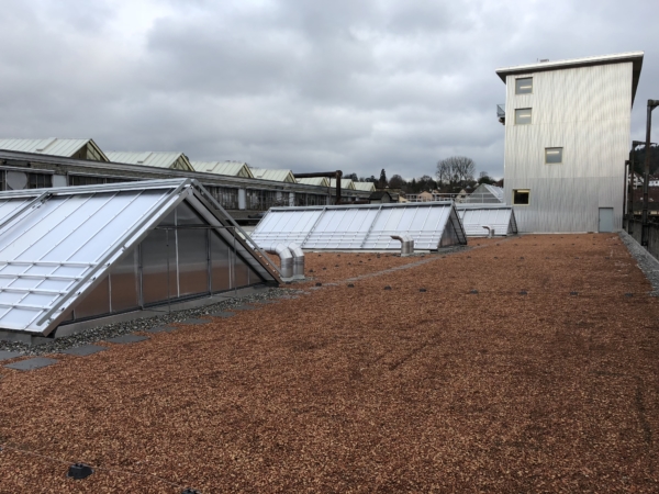 Projekte und Referenzobjekte von Maillard-Bedachungen Winterthur