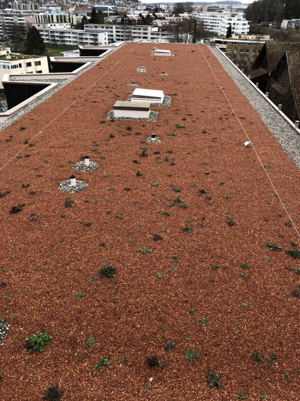 Projekte und Referenzobjekte von Maillard-Bedachungen Winterthur