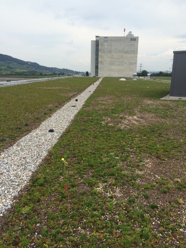 Projekte und Referenzobjekte von Maillard-Bedachungen