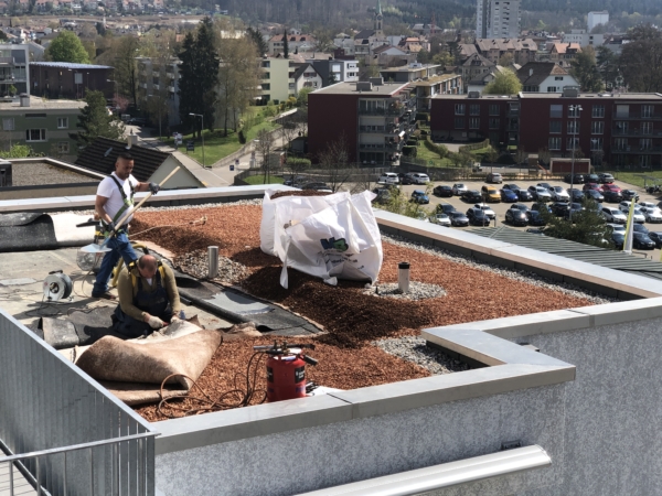 Projekte und Referenzobjekte von Maillard-Bedachungen Winterthur